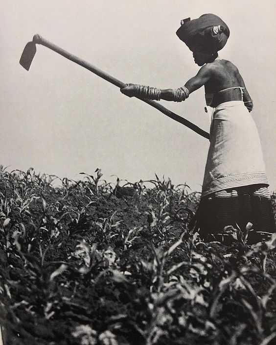 Xhosa woman digging a field with a metal hoe